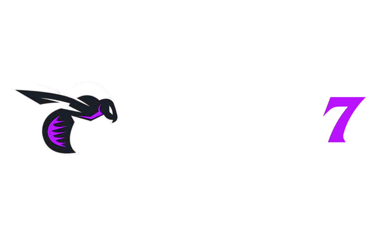 wasp7.info